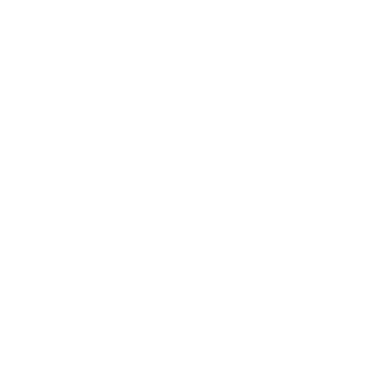 Prime Assist Logo